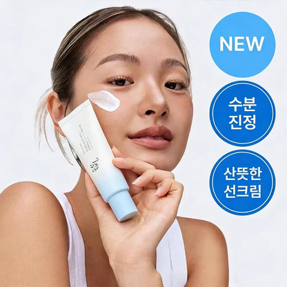 Beauty Of Joseon SPF50+ PA++++ Sunscreen